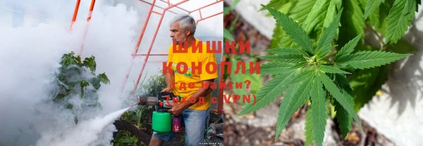 амфетамин Алексеевка