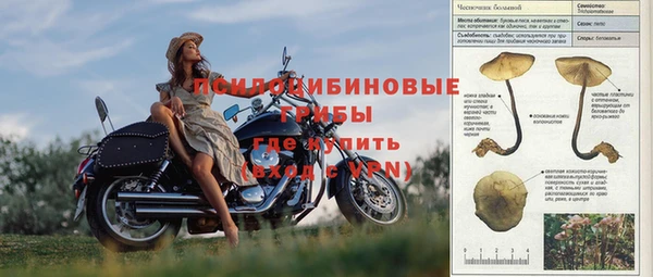 амфетамин Алексеевка